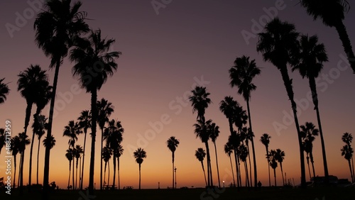 Orange sky  silhouettes of palm trees on beach at sunset  California coast  USA. Beachfront park at sundown in San Diego  Mission beach. People walking in evening twilight. Seamless looped cinemagraph