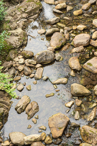 Narrow brook with stones and green moss