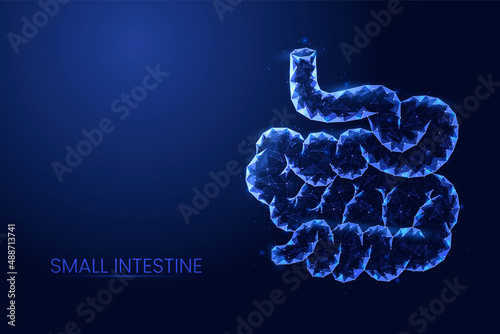 Human small intestine background vector. Futuristic abstract Low poly concept of medicine, digestive tract disease, innovative treatment. photo