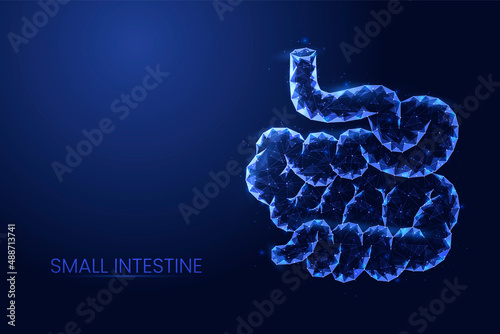 Human small intestine background vector. Futuristic abstract Low poly concept of medicine, digestive tract disease, innovative treatment.