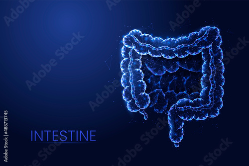 Human intestine background vector. Futuristic abstract Low poly concept of medicine, digestive tract, innovative treatment, cancer diagnosis. photo