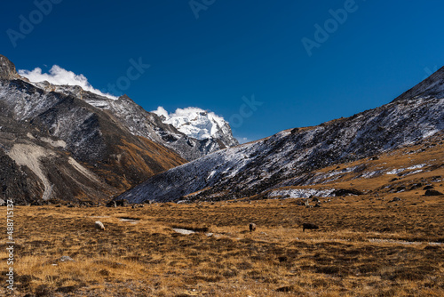Landscape of Himalaya mountains and meadow at Kongma Dingma campsite between Mera peak and Amphulapcha high pass, Nepal photo