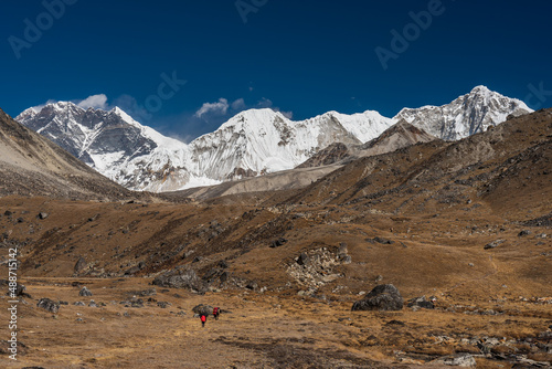 Himalaya mountains landscape and meadow, Way to Amphulapcha base camp, Everest region in Nepal photo