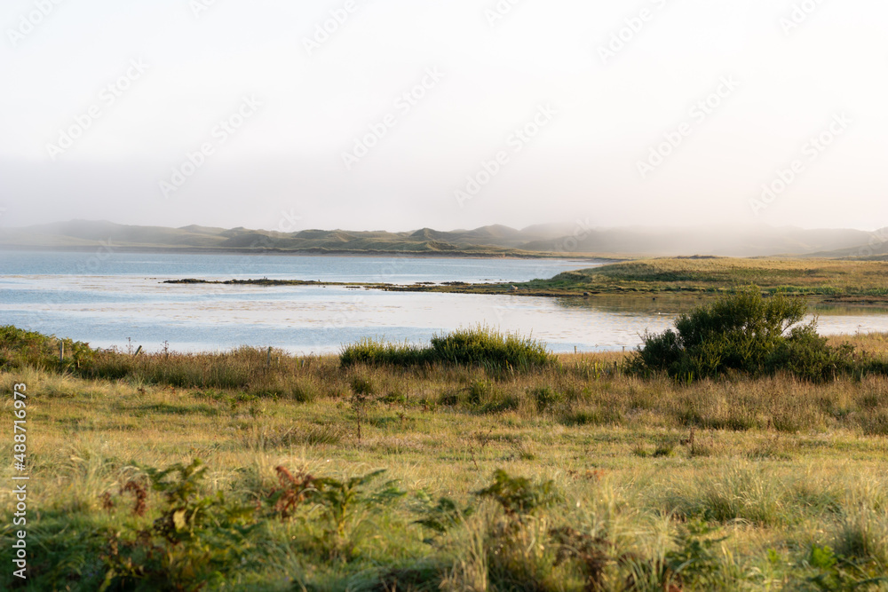 Soft clouds over a beautifully golden lit Scottish bay scenery with tall grass in the foreground and sea in the background, island of Islay, Scotland