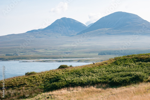 View of paps of Jura iconic hills on the island of Jura in the Inner Hebrides. Photo taken from the island of Islay with golden field with a deer in the distance, summer morning