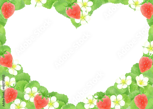                                                       Strawberry watercolor material  decorative frame  background material