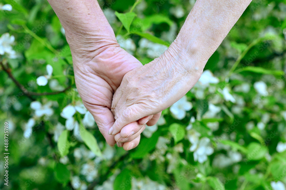 senior woman and man holding hands senior woman and man holding hands