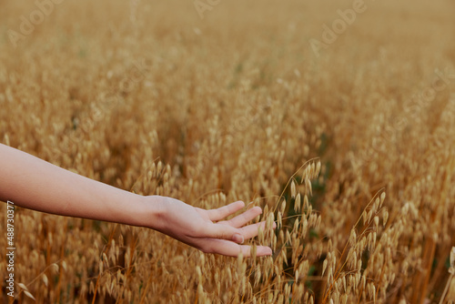 human hand outdoors countryside wheat crop nature unaltered