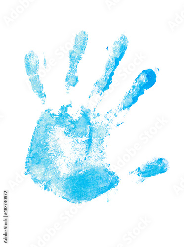 palm print isolated on a white background. blue paint