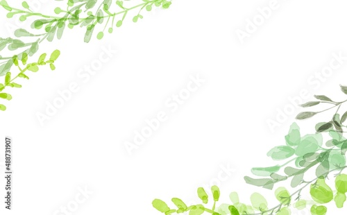 Wallpaper Mural 水彩画。水彩画で描いた草木の装飾フレーム。緑のハーブの草木フレーム。Watercolor painting. Decorative frame of plants and trees painted with watercolors. Green herb herbaceous frame. Torontodigital.ca