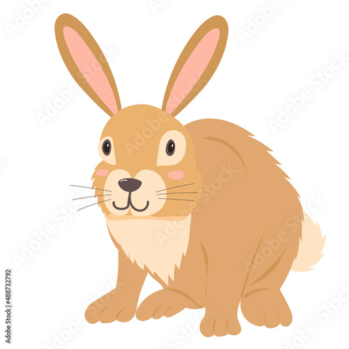 hare, rabbit cartoon decorative flat design, isolated
