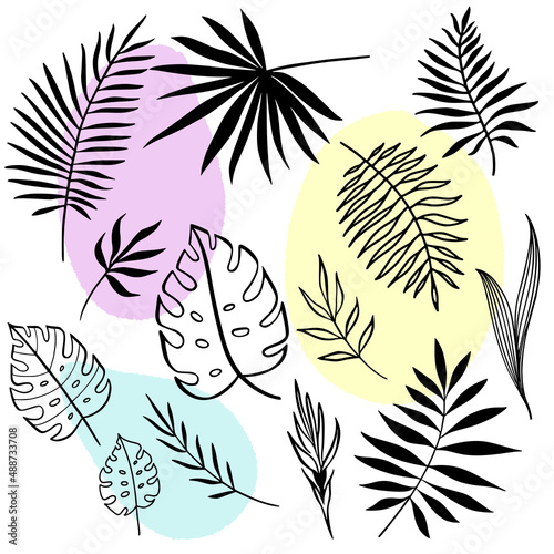 Set of tropical leaves. Vector line art elements. Abstract organic shapes background.