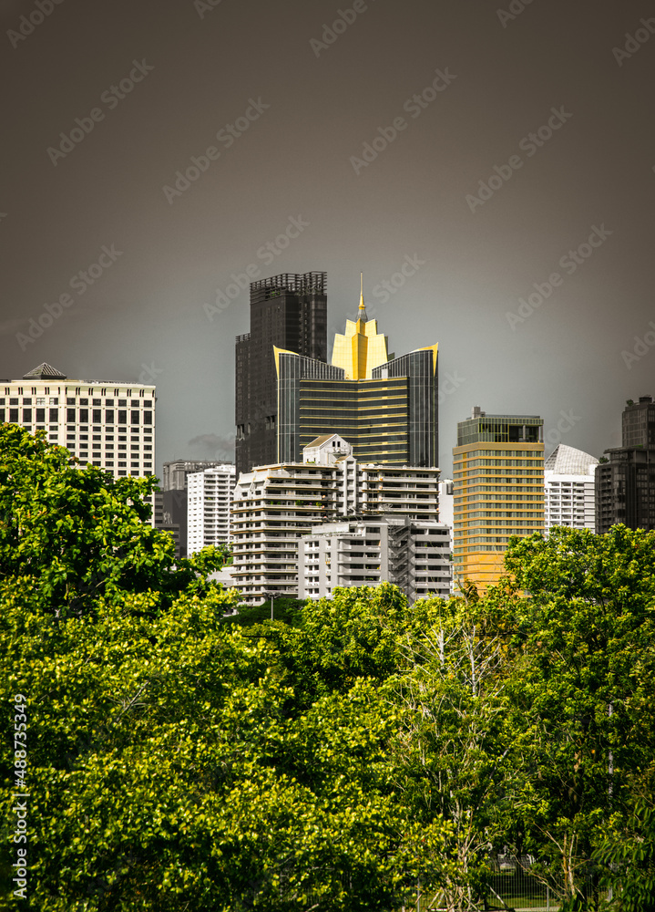 Fototapeta premium The growth of the city among trees space in nature against with dark background. City growth concept, Selective focus.