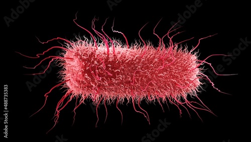 Rod-shaped bacterium, illustration photo