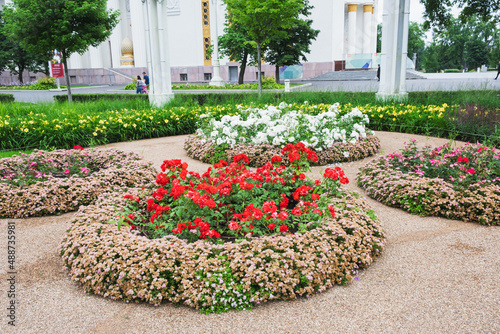 Blooming flower bed in summer in park