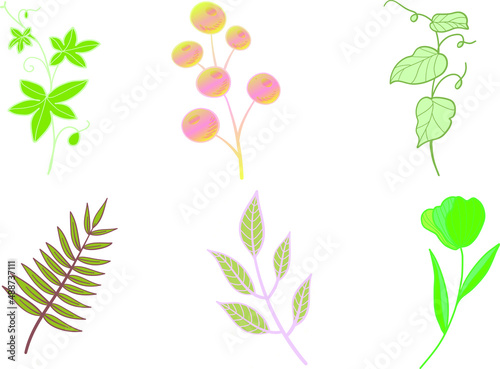 spring watercolour flower branches vector	