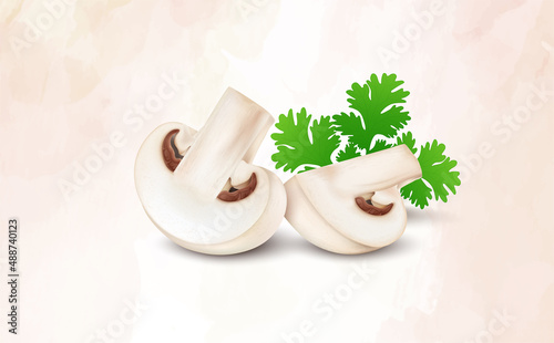Two mushroom pieces vector illustration with coriander leaves