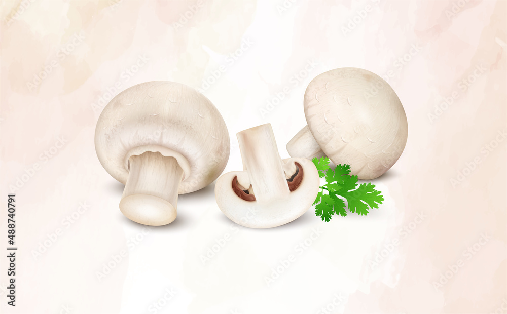 Fototapeta premium Fresh champignon mushrooms vegetable isolated on white background