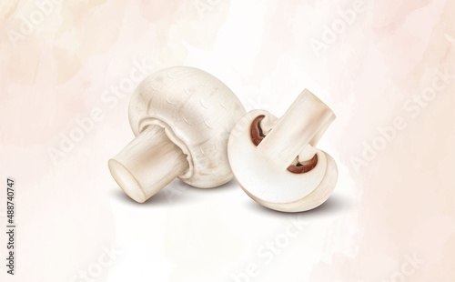 Fresh mushroom vegetable - vector illustration