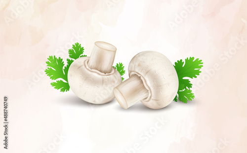 Set of two fresh Mushroom vector illustrations with green coriander leaves