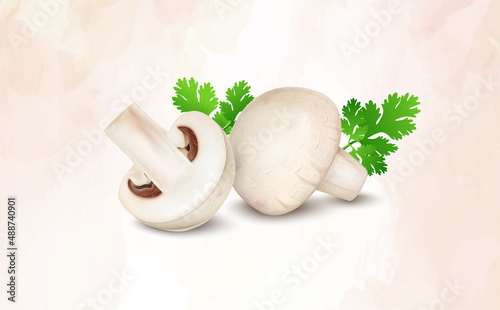 Mushroom vegetable with half mushroom vector illustration