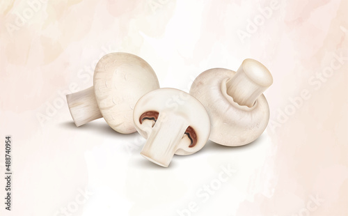Vector illustration of mushroom vegetable