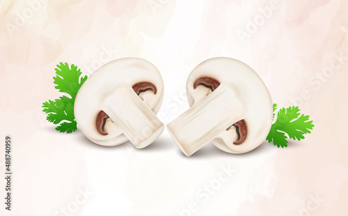 Mushroom vegetable slices vector illustration