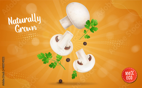 Champignons mushroom vegetable vector illustration with coriander leaves on orange background
