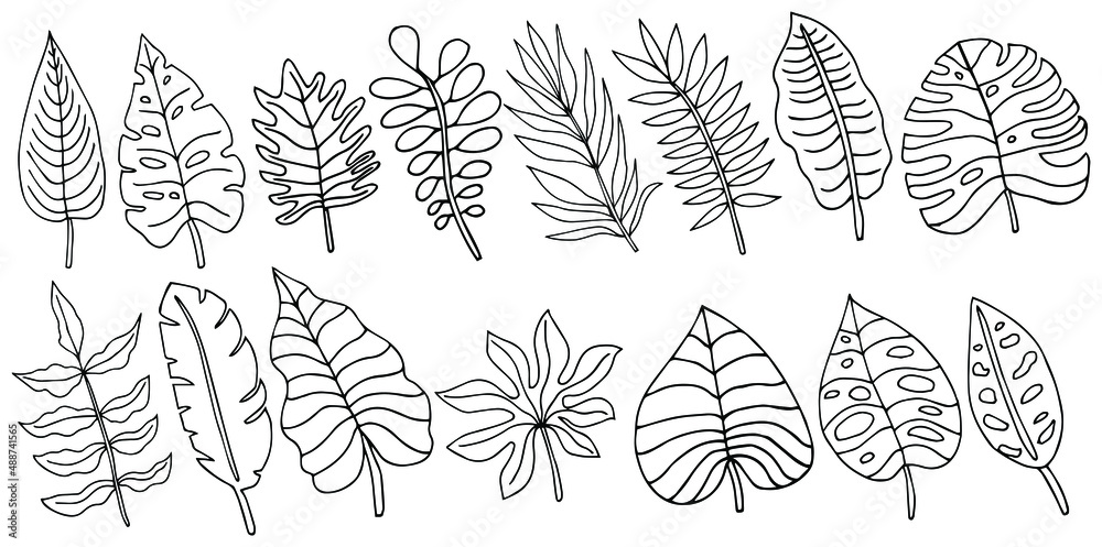 Hand drawn vector tropical leave icons. Coloring book illustration
