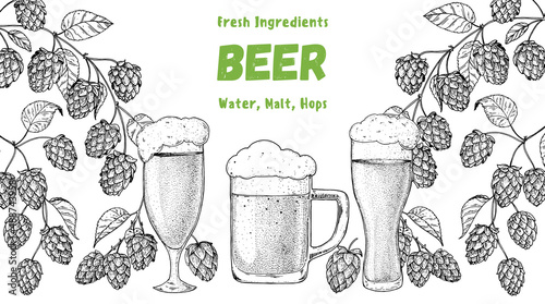 Beer glasses and hops sketch. Brewery design template. Beer hop illustration. Hand drawn sketch design. Beer ingredients vector illustration.