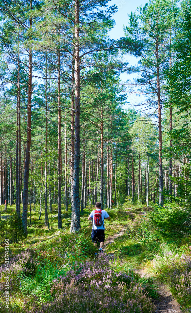 Mann mit Rucksack wandert in einem Wald