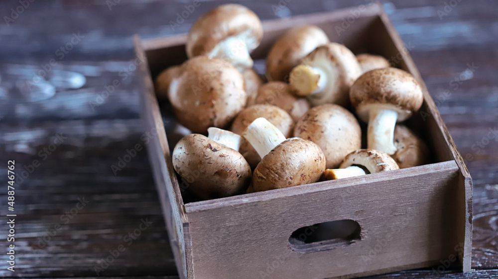 Fototapeta premium Royal champignons in a wooden box. Selective focus. Macro.