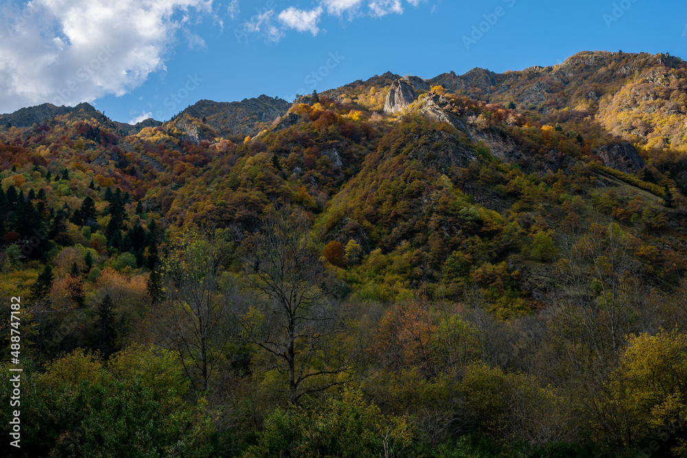 Foret montagneuse à l’automne.