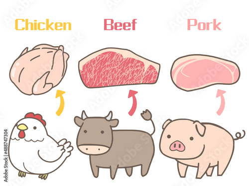 食肉のイラスト(牛・豚・鶏)