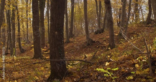 Wallpaper Mural Teen schoolgirl being bullied by group of students in high school. Portrait of depressed female pupil standing in corridor with mean girls gossiping and laughing at her on blurred background Torontodigital.ca