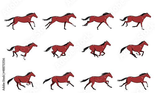 Galloping horse or mustang. Bay color coat pony running silhouette cycle. Key positions set. Loop equine gallop motion. Isolated vector hand drawn animation cartoon pose. Equestrian collection