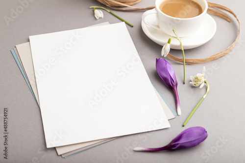 White paper sheet card mockup with spring snowdrop crocus and galanthus flowers and cup of coffee on gray background. side view, copy space.