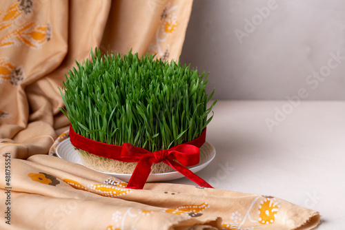 Green fresh semeni sabzi wheat grass in white plate decorated with red ribbon with wooden shebeke pattern, Novruz spring equinox celebration in Azerbaijan