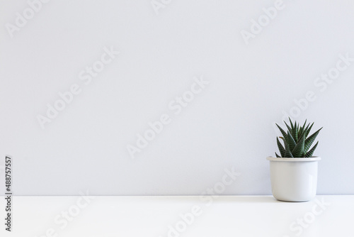 Table with succulent plant in flowerpot agianst bright grey wall.