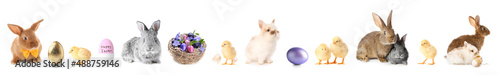 Easter set with cute animals and painted eggs isolated on white
