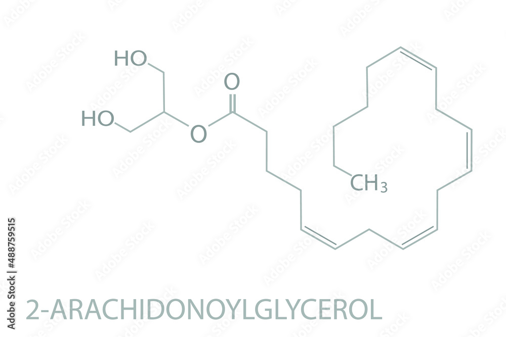 2-Arachidonoylglycerol molecular skeletal chemical formula.	