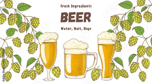 Beer glasses and hops. Brewery design template. Beer hop illustration. Hand drawn design. Beer ingredients vector illustration.