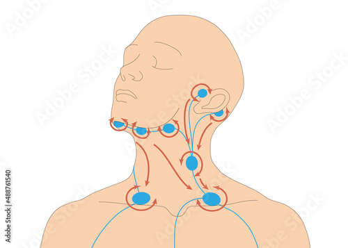 Infografik - Lymphdrainage am Menschen - Vorbehandlung am Hals