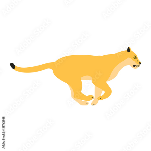 Vector flat running lioness isolated on white background © Sweta