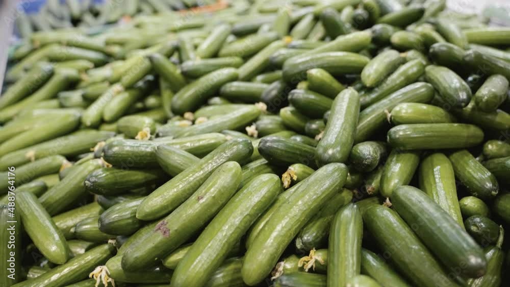 Mounds of fresh cucumber on display at the supermarket. Mounds of fresh cucumber on display at the supermarket.