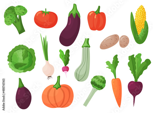 Set of different flat vegetables. Organic healthy food isolated on white background. Vector illustration