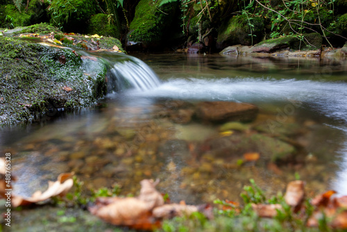 Pequeño salto de agua en arroyo