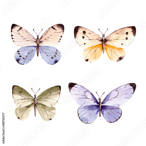 set of butterflies © Юлия Нуртдинова