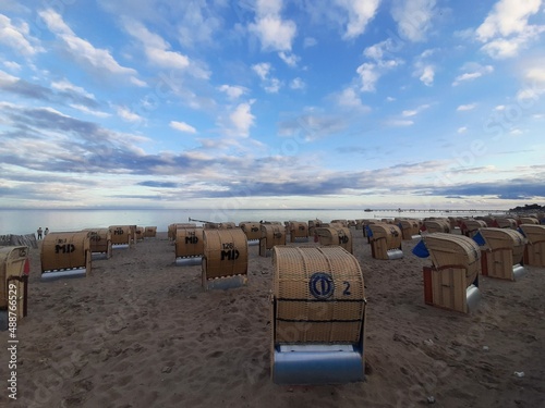 Meer Strand Fauna Ostsee