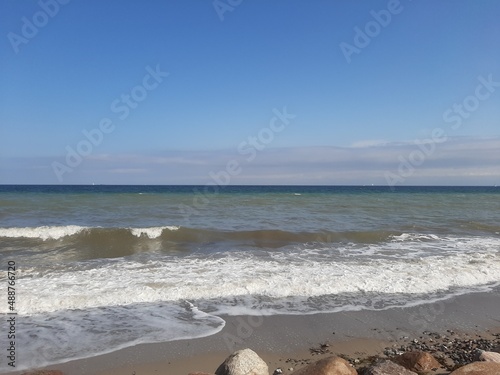 Meer Strand Fauna Ostsee